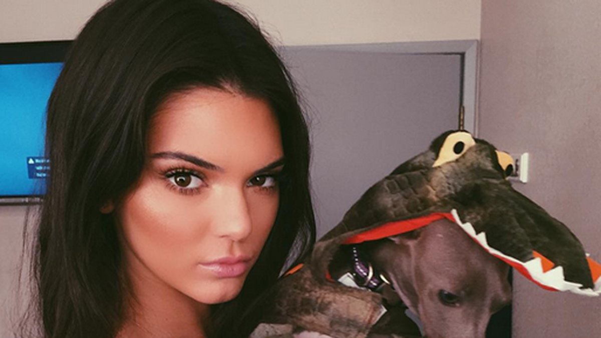 Kendall Jenner gosar med en hund. 
